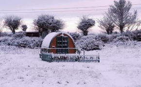 Lovely Glamping Dream Pod in St Austell Cornwall